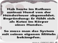 Hundesteuer