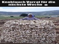 Gro�er Knoblauch-Vorrat