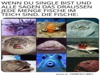 Lustige Fisch-Gesichter f�r Singles
