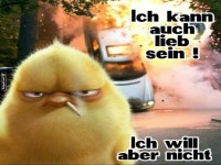 Gelbes K�ken mit frechem Spruch