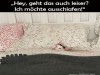 weiter
