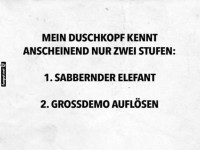 Duschen extrem: Elefant oder Demo?