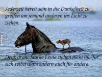 Pferdestarkes Teamwork am Wasser