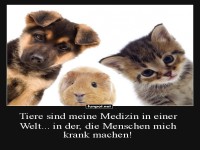 Flauschiger Notfall-Kuscheltrupp!