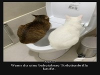 Katzen suchen den w�rmsten Platz im Haus