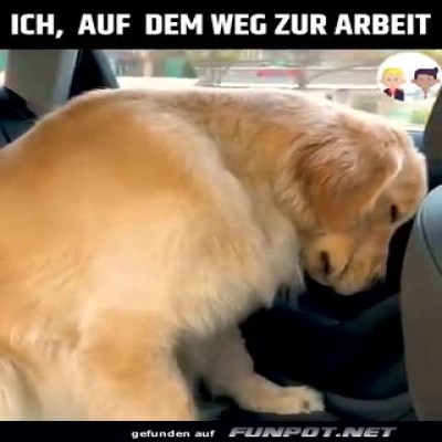 auf-dem-Weg-zur-Arbeit.jpg von Lucie37
