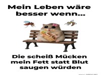 M�cken als Fettabsauger - die Traumdi�t
