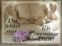 du fehlst mir