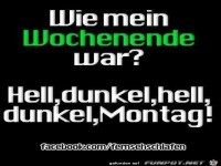 12592711 1063183997038052 213500262141950542 n