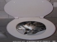 Tierisch