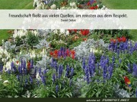 Freundschaft fliesst 1