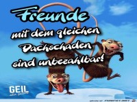 Freunde mit gleichen Dachschaden