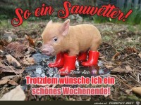 Sauwetter