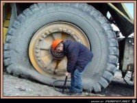 Im Jobangebot stand,...wenn mir gro�e Baumaschinen gefallen.