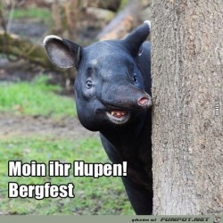 Hallöchen.jpg auf www.funpot.net
