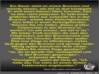 Ein Bauer steht an einem Brunnen und m�chte wissen