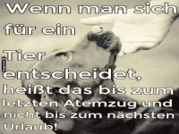 so ist es