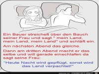 Bauer