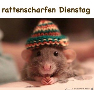 Begr&uuml;&szlig;ungsbild
