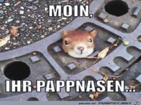 Guten Morgen ihr Pappnasen