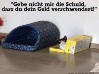 Ich gebe nicht mir die Schuld,das du dein Geld verschwendest