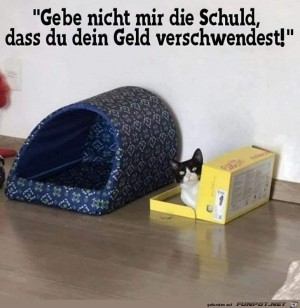 Ich-gebe-nicht-mir-die-Schuld,das-du-dein-Geld-verschwendest.jpg auf www.funpot.net