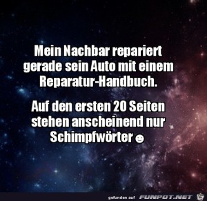 Reparatur-Handbuch.jpg auf www.funpot.net