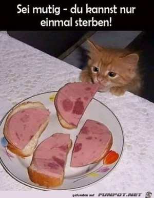 Sei-mutig.jpg auf www.funpot.net