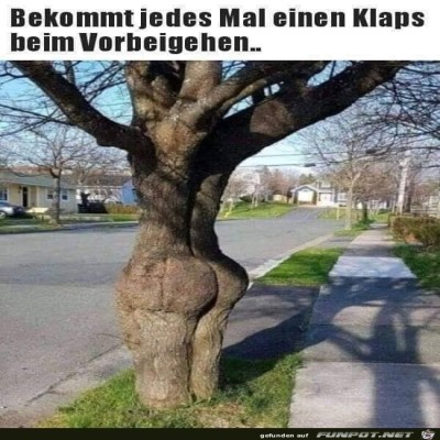 Beim-Vorbeigehen.jpg von Keule56