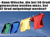 Buntw�sche