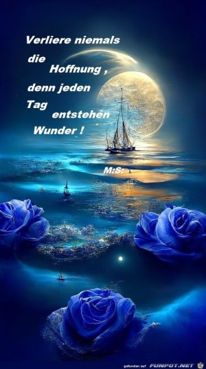 Verliere-niemals-die-Hoffnung.jpg auf www.funpot.net