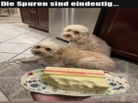 Eindeutig identifiziert