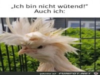 Bin nicht w�tend