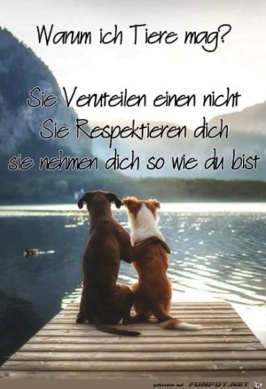 Warum-ich-Tiere-mag.jpg auf www.funpot.net