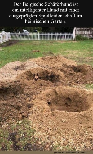 Ganze-Arbeit-geleistet.jpg auf www.funpot.net