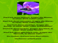 darf ich denn bl�hen