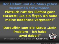 Der Elefant und die Maus gehen schwimmen