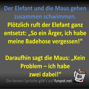 Der-Elefant-und-die-Maus-gehen-schwimmen.jpg von Fossy