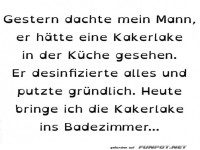 Humor in der K�che: Kakerlake sorgt f�r Aufruhr