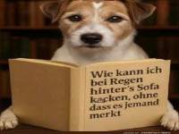 Cleverer Hund plant geheime Gartenmission