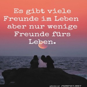 Freunde-fürs-Leben:-Mondschein-Meditation.jpg von Zauberfee