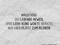 Wenn Bellen mehr sagt als 1000 Worte