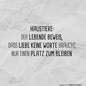 Wenn-Bellen-mehr-sagt-als-1000-Worte.jpg von Tarik1967