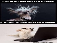 Vor und nach dem ersten Kaffee