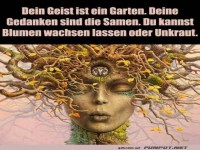 Blumen wachsen lassen
