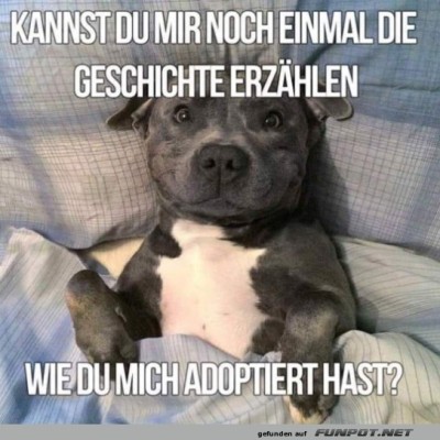 Die-Geschichte.jpg von Erwin32