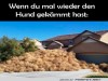 weiter