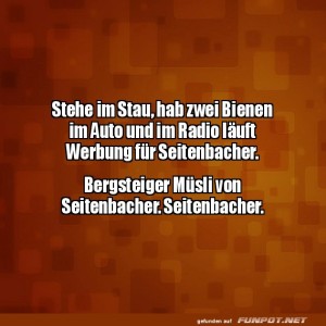 Stau,-Bienen-und-Seitenbacher-Chaos.jpg von Queen40