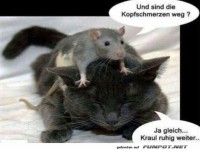 Sind die Kopfschmerzen weg