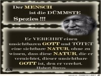 der mensch ist der duemmste